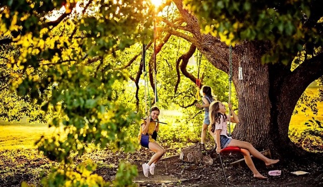 Lime Lodge Farmstay-Families-Horse Riders-Nature