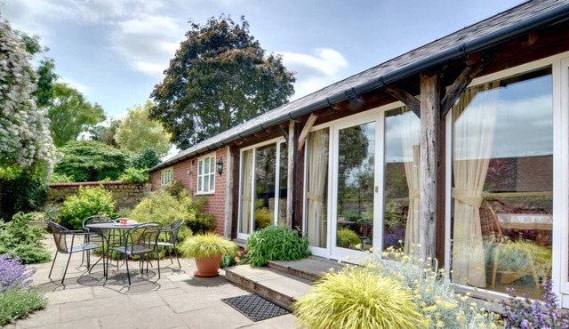 Lime Trees in the beautiful Maidstone