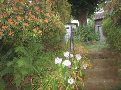 LIMOGES, joli appart !