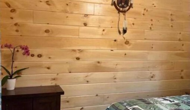 Lincoln Log Cabins- Papa Bear