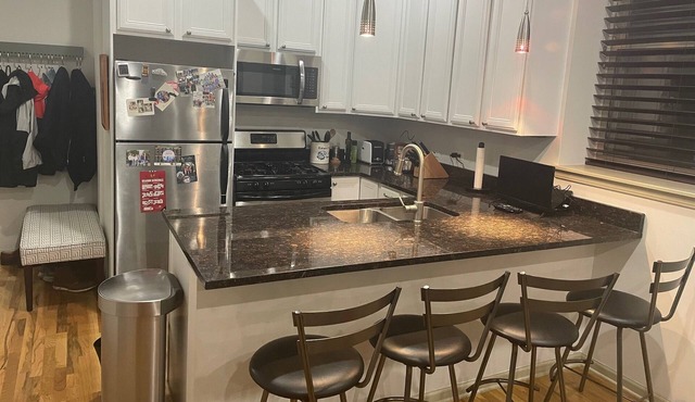 Lincoln Park Condo - Spacious, ideally located 2 Bed/1 Bath/2 Parking Spots.