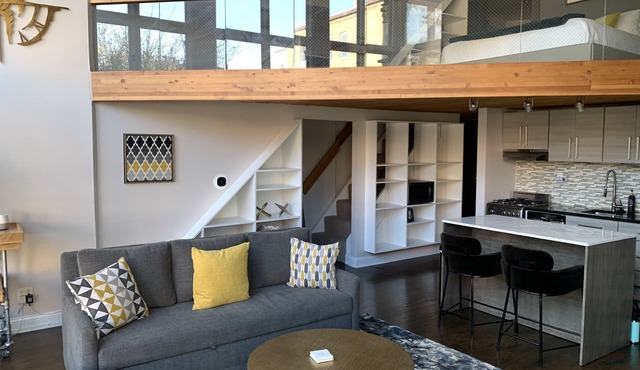 Lincoln Park Light Filled Loft