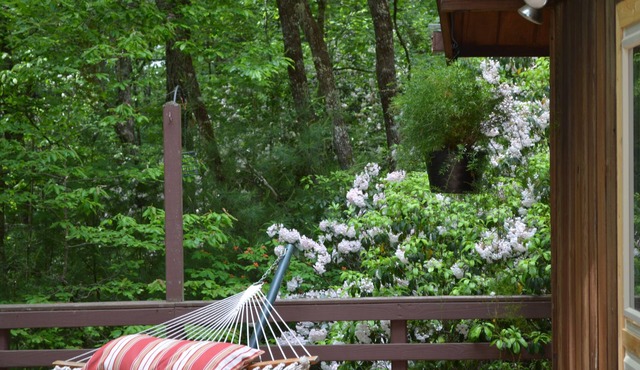 Lindal cedar home located next to Dupont State Recreational Forest.
