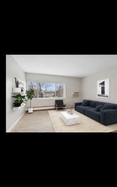 Linden hills Comfy 1bd apt on the Lake