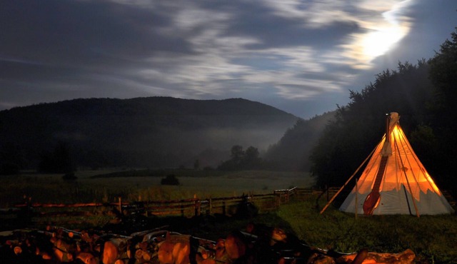 Linden Tree Retreat & Ranch