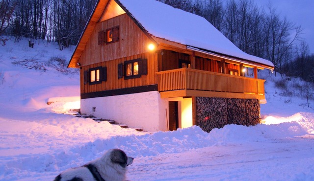 Linden Tree Retreat & Ranch