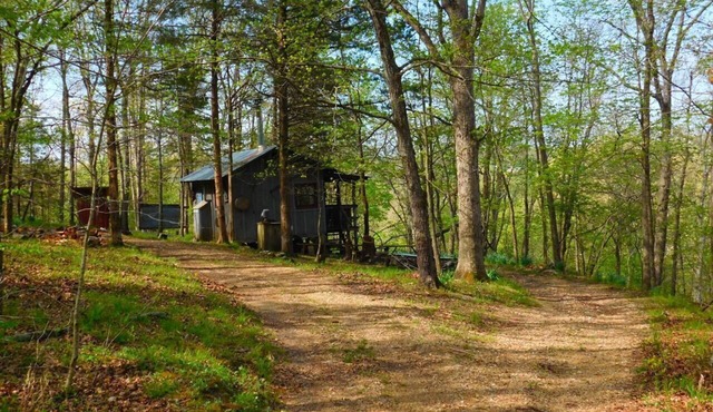 Line Camp Cabin is Secluded in The Woods Near The River.
