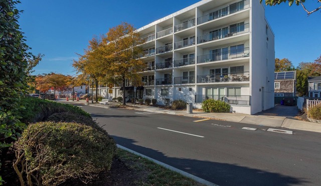 Linens Provided One Bedroom Condo Downtown Walk Everywhere