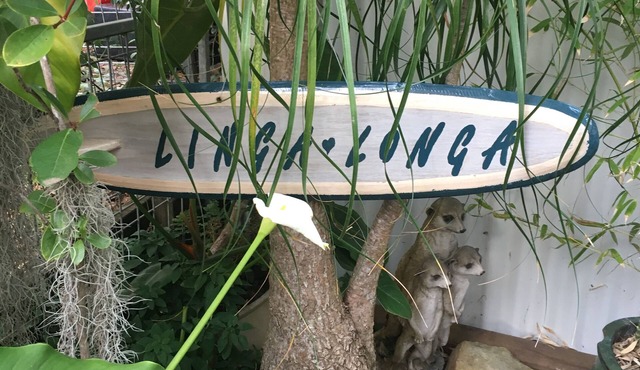 Linga-Longa - beach studio