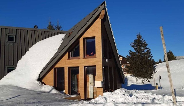 Lion Beige- 10-seater chalet Vercors ski resort