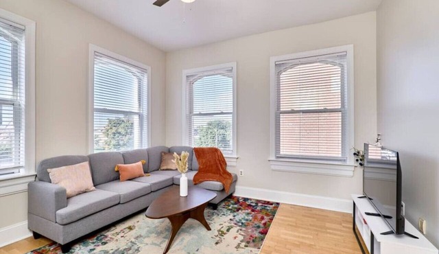Lion Room 1 bed SLU, Grand Center, CWE