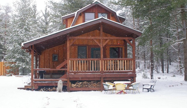 Lion's Den Cabin at The King's Pines