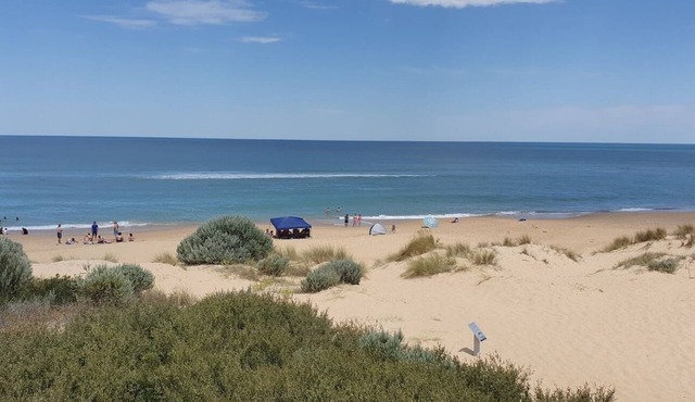 Listen to the ocean crash against the shore