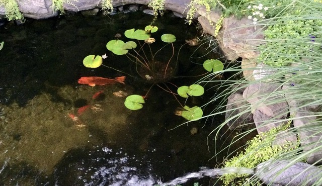 Litchfield County home on CT Antiques and CT Wine Trail!