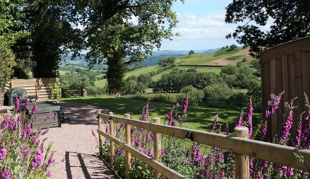 Little Acorn - 5* Cyfie Farm, Luxury Shepherds Hut /Lodge with private hot tub.