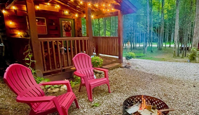 Little Bear Tiny Cabin in The Forest