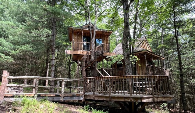 Little Birds Treehouse