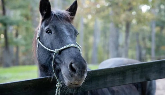 Little Bit Farm - Create your own stay