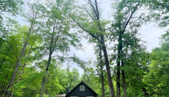 Little Black House 5 Minutes to Higgins Lake
