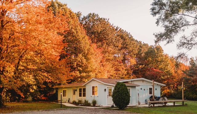 Little Blue Cottage - wooded getaway, near beaches and towns