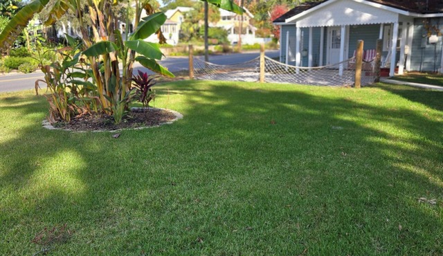 Little Blue cottage on the Bay, Panama City, Historic St Andrew's Bay. Pets OK