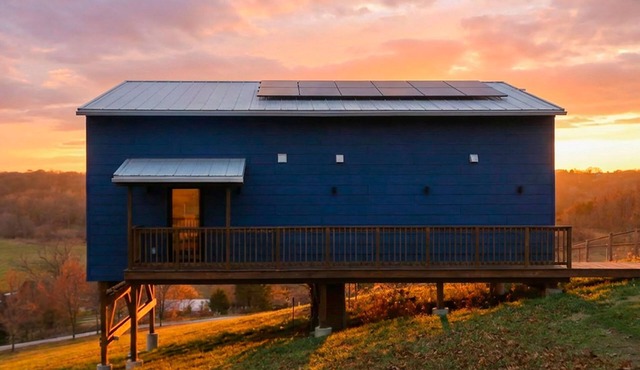 Little Blue @ Sun Painted Farm