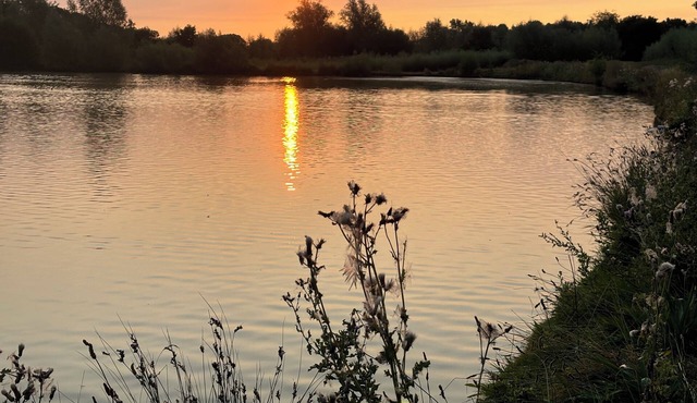 Little Brook Retreat cozy adorable & romantic.