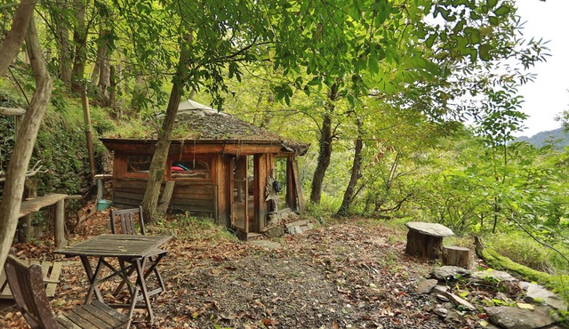 Little cabin in the woods