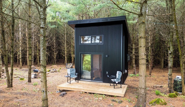 Little Cabin in the Pines