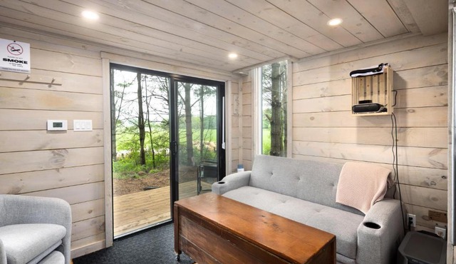 Little Cabin in the Pines