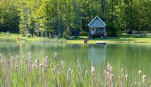 Little Cabin in the Big Woods