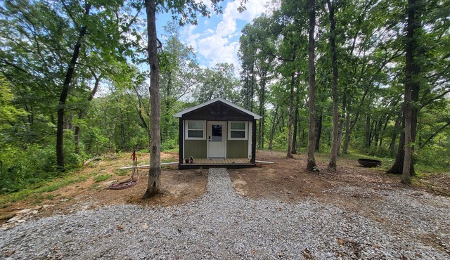 Little Cabin in the Woods Private and Secluded