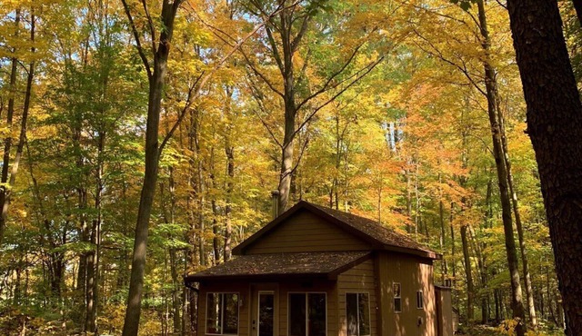 Little Cabin in the Woods - Quiet