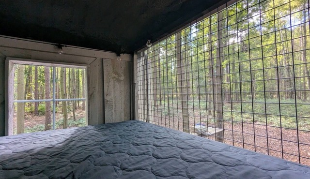 Little Can in the Pines - Bunkie No. 2