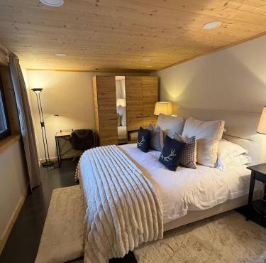 Little Chalet Piguet