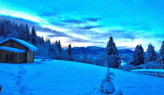 Little cocoon in my garden