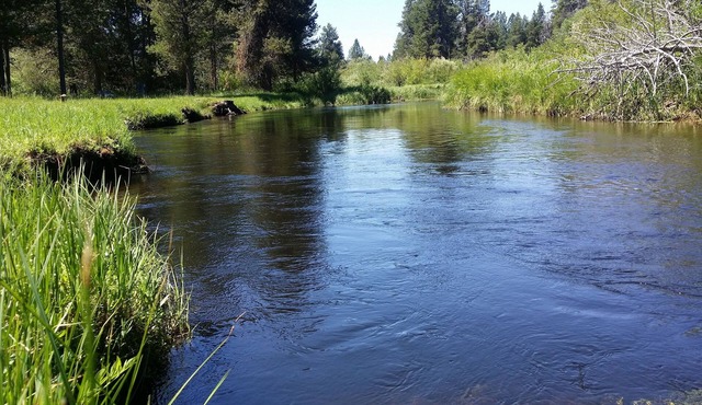 Little Deschutes River Family Retreat - Fun for the whole Family!