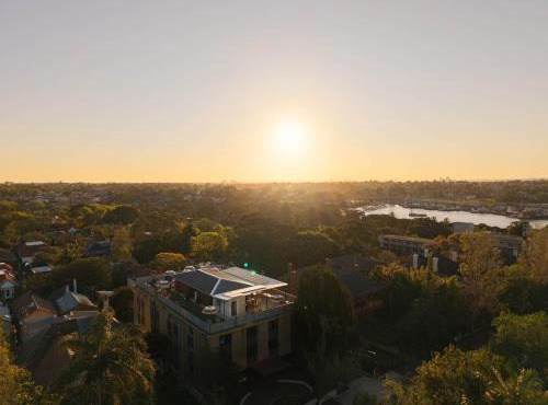 Little Drifter Glebe