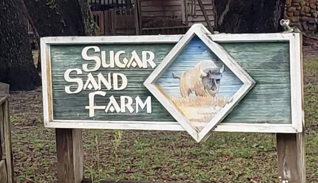 Little Fish House Casita de Peces Sugar Sand Farm