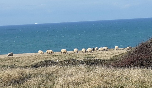 Little fisherman's house