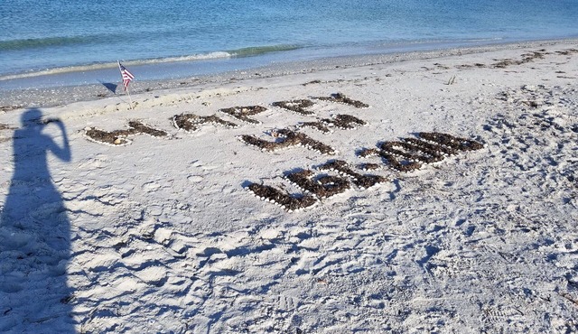 Little Gasparilla Island - Gulf view, golf cart, ferry, pool, boat dock, parking