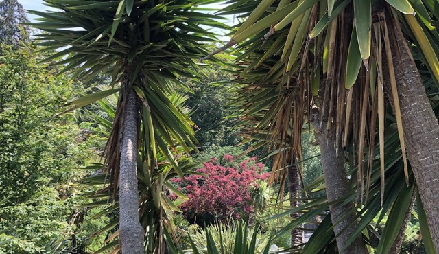 Little Gem in heart of Old Village with private hot tub from Nov 2021