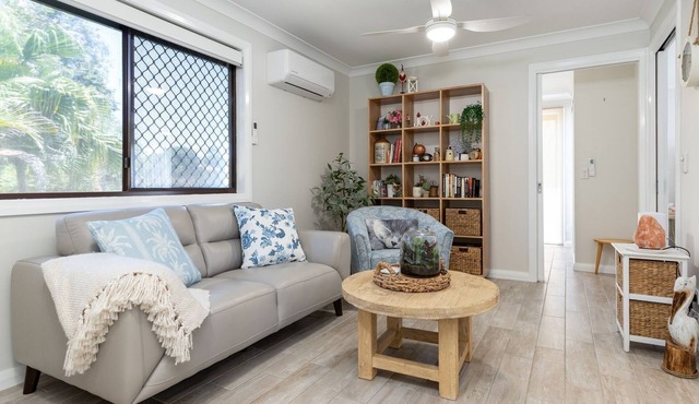 Little Goldens at Fay's