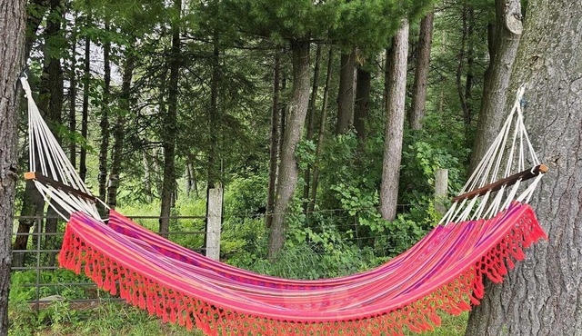 Little heaven in Clarington on 154 acres of land close to Ganaraska forest