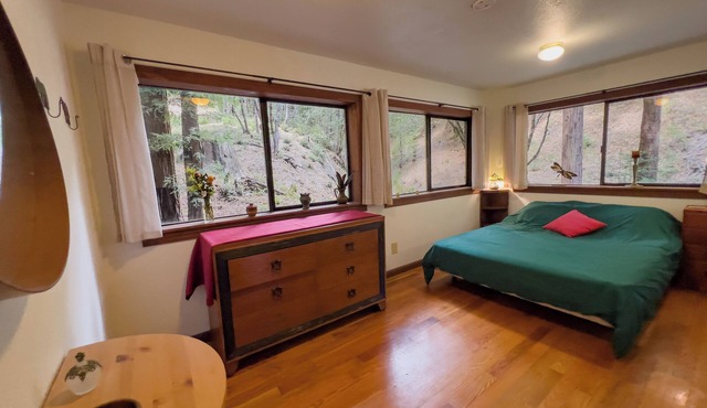 Little House in the Redwoods with hot tub!