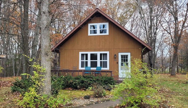 Little house in the woods but only 5 minutes from town!
