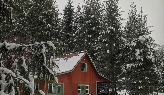 Little house in the woods, close to the lake,town and mountain.