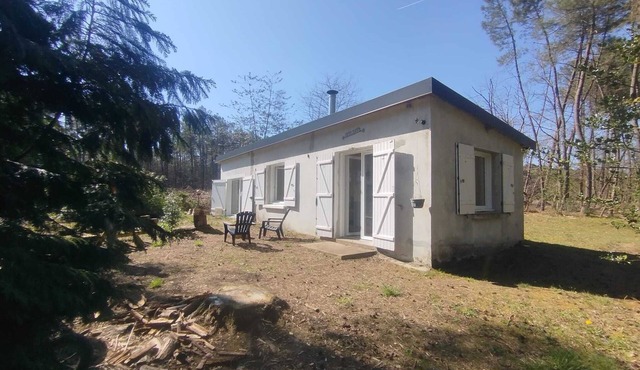 Little house in the woods