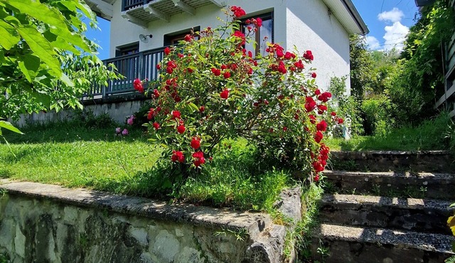 Little house of happiness, large garden, close to the lake. Breathtaking view.