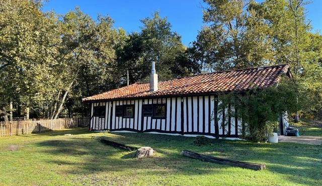 Little Landes house in the heart of the forest